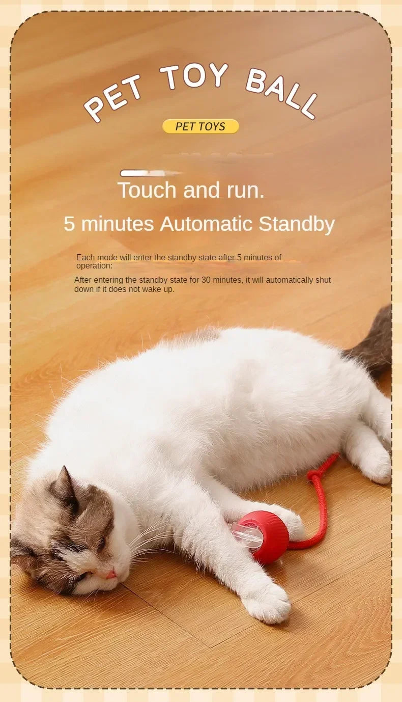 Interactive Self-Moving Cat Ball Toy